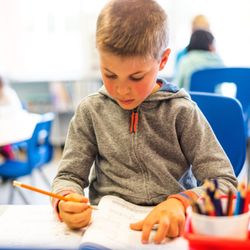 Brantford Christian School - Support for all learners