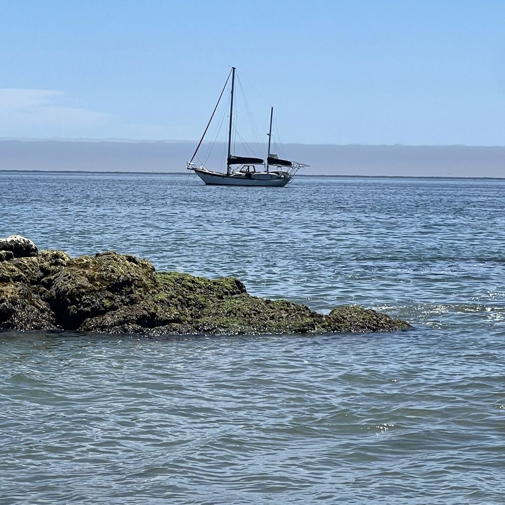 The ocean