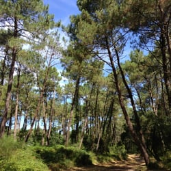 Forêt Communale du Pignada