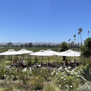 Scribe Winery - Wineries Near Me - Sonoma, California Scribe Winery - Wineries Near Me - Sonoma, California