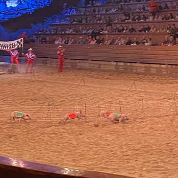 Dolly Parton's Stampede - Performing Arts Near Me - Pigeon Forge, Tennessee