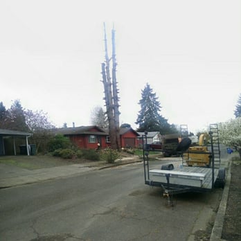 Simonson Tree Service - Tree Services Near Me Simonson Tree Service - Tree Services Near Me