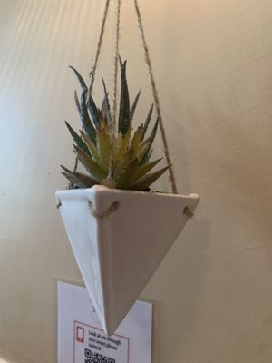 Roots Cafe by null