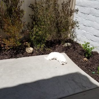 McCabe's Landscape Construction - Landscaping Near Me - Murrieta, California