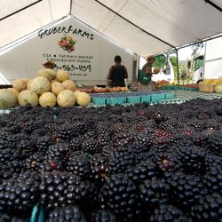 Port Royal Farmers' Market - Blackberries from Gruber Farms