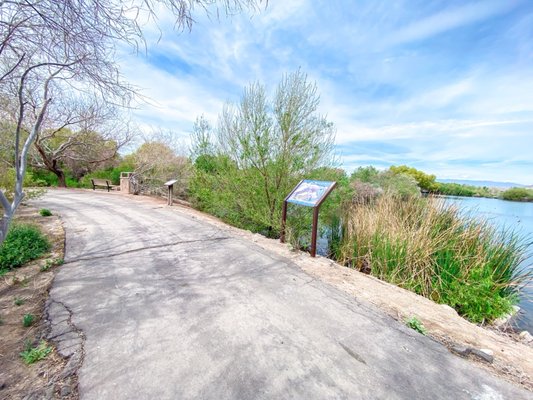 Henderson Bird Viewing Preserve by null