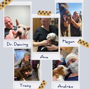 Harmony Road Veterinary Clinic - Our team is how we can do what we do! - Veterinarians Near Me - Fort Collins, Colorado Harmony Road Veterinary Clinic - Our team is how we can do what we do! - Veterinarians Near Me - Fort Collins, Colorado