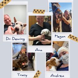 Harmony Road Veterinary Clinic - Our team is how we can do what we do!