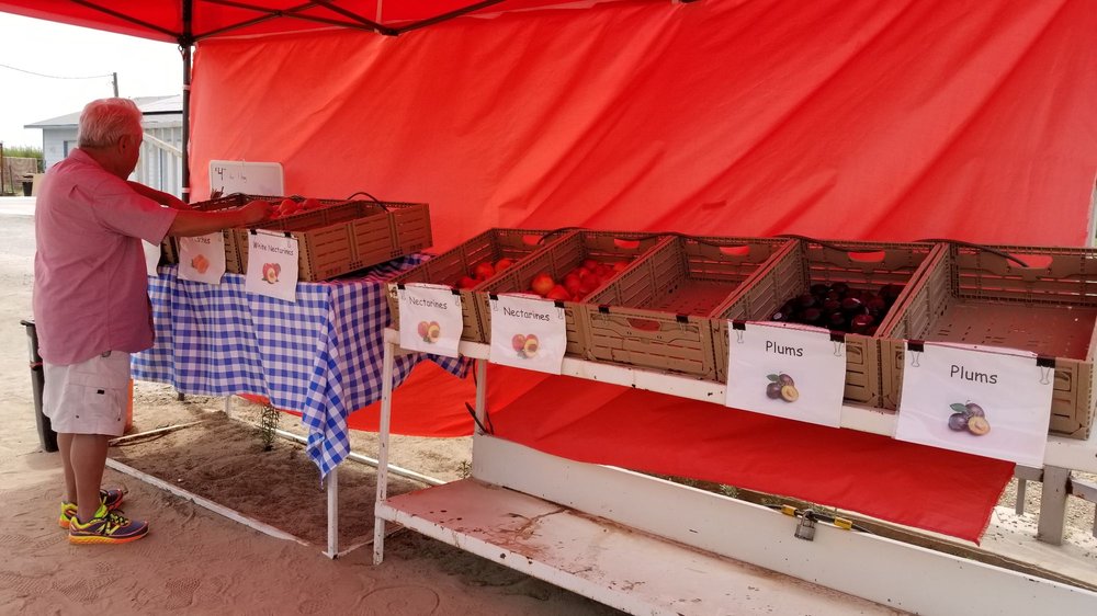 PAULS FAMILY FRUIT STAND Updated September 2024 E Rose Ave & S