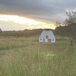 Barn in field on Arabian Mountain trail.
