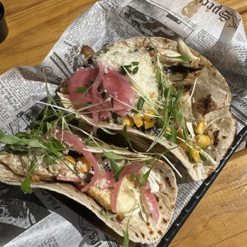 Spearfish Grille - Fish tacos - Seafood Near Me - Sarasota, Florida