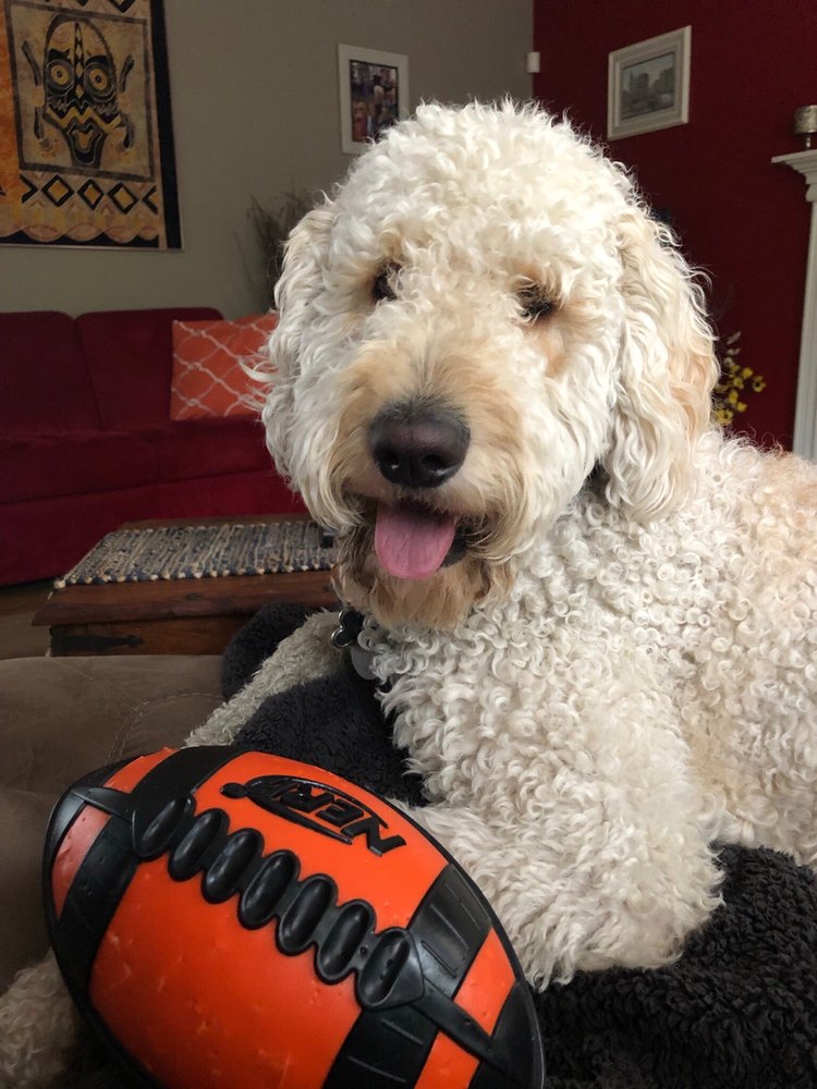 PETSMART Updated July 2024 30 Reviews 9934 170Th St Nw, Edmonton