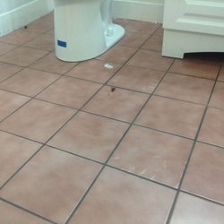 Dorms of Torrance - down stairs common area bathroom - GROSS BUGS - This is right next to the restaurant