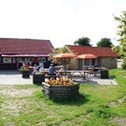 Rørvig Havnegrill - Stemning fra Rørvig havnegrill