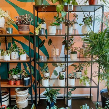 Nurture State - Nurseries & Gardening Near Me - Berkeley, California