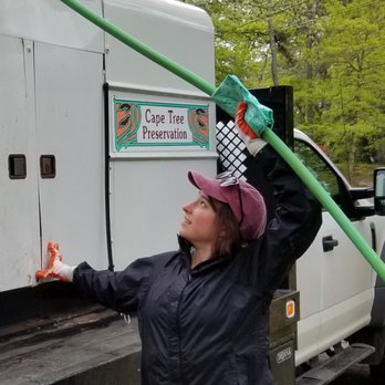 Cape Tree Preservation - Tree Services Near Me Cape Tree Preservation - Tree Services Near Me