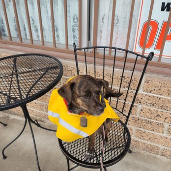 Grove Grinder - Boba is patiently waiting for my food, lol - Sandwiches Near Me - Lemon Grove, California