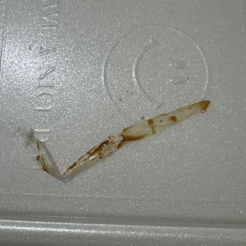 Sushi House - Plastic wrap - Sushi Bars Near Me - Chula Vista, California Sushi House - Plastic wrap - Sushi Bars Near Me - Chula Vista, California