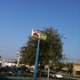 Photo of Jaas Auto Service