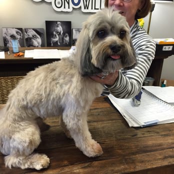 Wags on Willow - Great job! - Pet Stores Near Me - Northfield, Illinois
