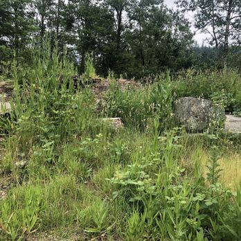 Franklin Ghost Town - Hiking Near Me