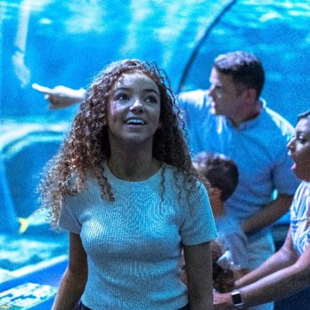 Ripley's Aquarium of Myrtle Beach - Escape Games Near Me - Myrtle Beach, South Carolina Ripley's Aquarium of Myrtle Beach - Escape Games Near Me - Myrtle Beach, South Carolina