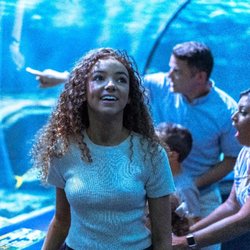 Ripley's Aquarium of Myrtle Beach