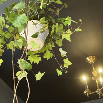 Rosecrans - Hanging plants - Cafes Near Me - New York, New York Rosecrans - Hanging plants - Cafes Near Me - New York, New York