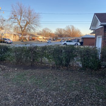 Cherry Pride - Result of bushes cut by Andrae Cherry. - Lawn Services Near Me