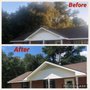 Photo of Affordable Tree Service