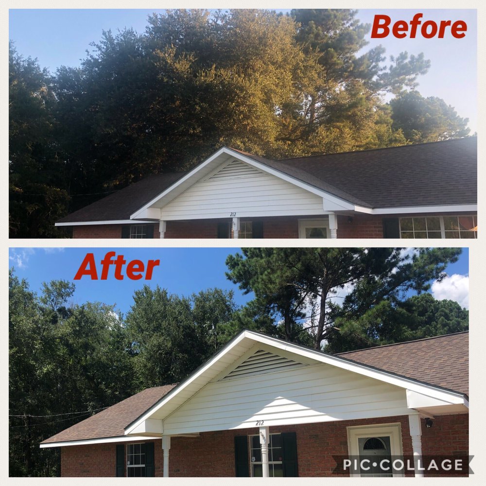 Affordable Tree Service - tree service in Ludowici, GA