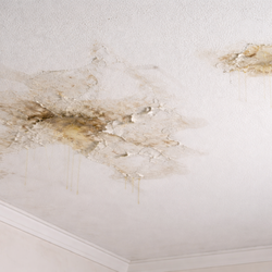 Trouth Air Conditioning & Sheet Metal - Water damage CAUSED by Trout.
