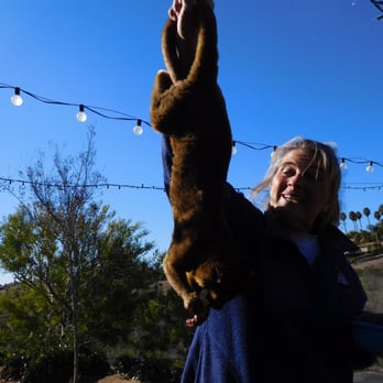 Wild Wonders - Zoos Near Me - Bonsall, California Wild Wonders - Zoos Near Me - Bonsall, California