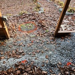 Septic Experts - Orange tapes mark wrong the wrong septic location percT.J. at Wingle Septic, the orange circle is correct.