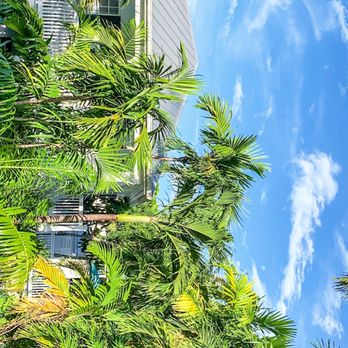 The Gardens Hotel - View from our balcony - Hotels Near Me - Key West, Florida The Gardens Hotel - View from our balcony - Hotels Near Me - Key West, Florida