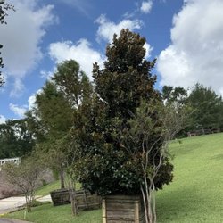 Wagner Tree Farm