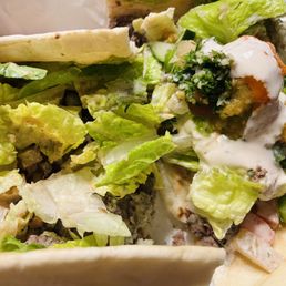 9" Arabic Chicken Shawarma Wrap 9" Arabic Chicken Shawarma Wrap