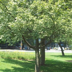 Spa L'ermitage