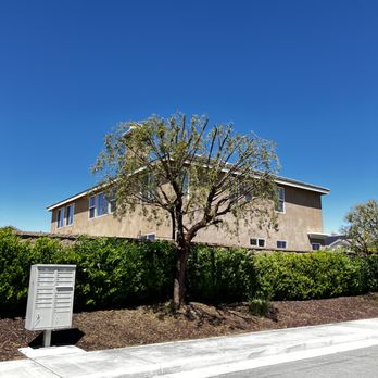 Ayala's Tree Service - Tree Services Near Me Ayala's Tree Service - Tree Services Near Me