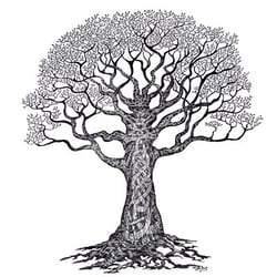 Joseph Hong - Tree of life