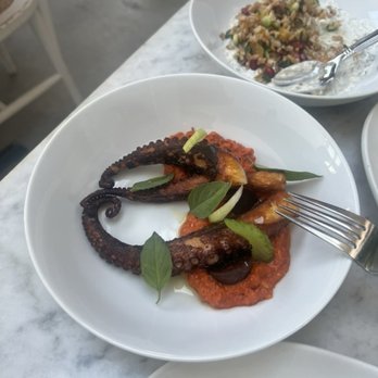 Cento Pasta Bar - charred octopus: romesco, potato, celery = $26 - Italian Near Me - Los Angeles, California Cento Pasta Bar - charred octopus: romesco, potato, celery = $26 - Italian Near Me - Los Angeles, California