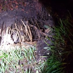 Bob Frank Sewer & Drain Cleaning