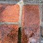 Photo of Jewart & Sons Exterior Cleaning 