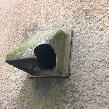 Dr Critter - Rats chewed through this dryer vent - Pest Control Near Me