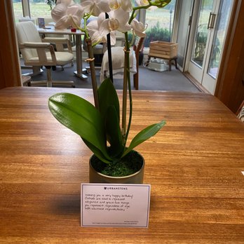 UrbanStems - This was the "Swell" from the plants selection. - Florists Near Me UrbanStems - This was the "Swell" from the plants selection. - Florists Near Me