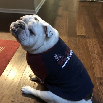 Four Paws @ Four Points - Veterinarians Near Me - Austin, Texas