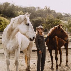 Old Canyon Stables - Equine Therapy Horses with Matisse Williams. Equine Guided Retreats and Workshops.