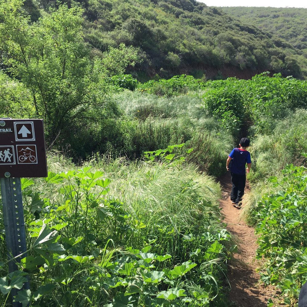 Copper Creek Falls Trail - Restricted Access - Hiking Near Me - San Marcos, California Copper Creek Falls Trail - Restricted Access - Hiking Near Me - San Marcos, California