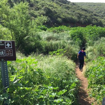 Copper Creek Falls Trail - Restricted Access - Hiking Near Me - San Marcos, California Copper Creek Falls Trail - Restricted Access - Hiking Near Me - San Marcos, California