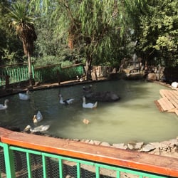 Granjaventura - Patos